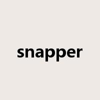 snapper是什么意思