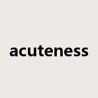 acuteness是什么意思