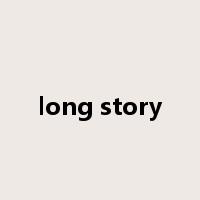 long story是什么意思
