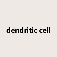 dendritic cell是什么意思