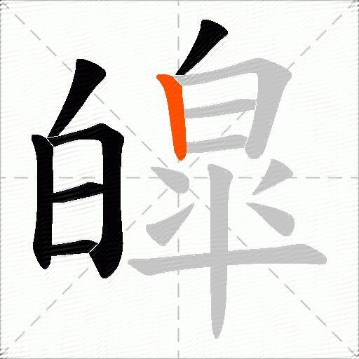 皡