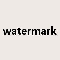 watermark是什么意思