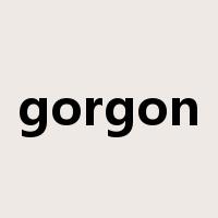 gorgon是什么意思