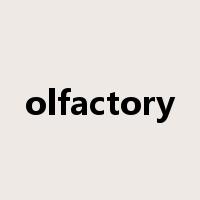 olfactory是什么意思