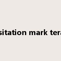 hesitation mark terata是什么意思