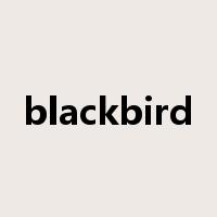 blackbird是什么意思