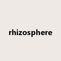 rhizosphere是什么意思