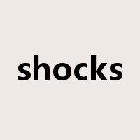 shocks是什么意思