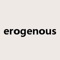 erogenous是什么意思