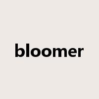 bloomer是什么意思