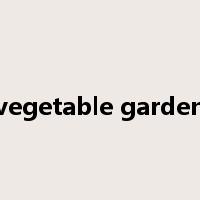 vegetable garden是什么意思