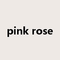 pink rose是什么意思