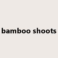 bamboo shoots是什么意思