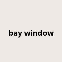 bay window是什么意思
