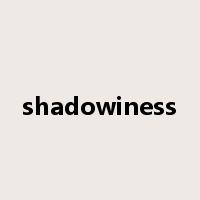 shadowiness是什么意思