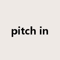 pitch in是什么意思