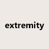 extremity是什么意思