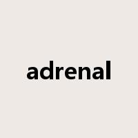 adrenal是什么意思