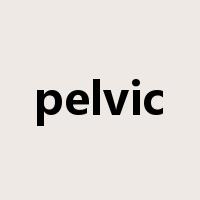 pelvic是什么意思