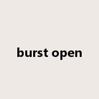 burst open是什么意思