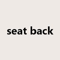 seat back是什么意思