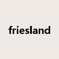friesland是什么意思