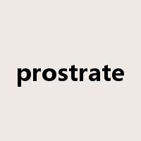 prostrate是什么意思