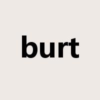 burt是什么意思