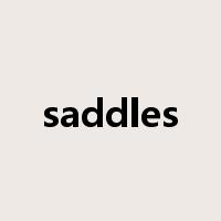 saddles是什么意思
