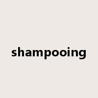 shampooing是什么意思