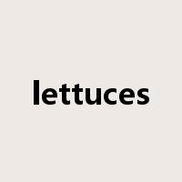 lettuces是什么意思