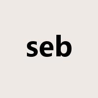 seb是什么意思