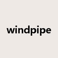 windpipe是什么意思