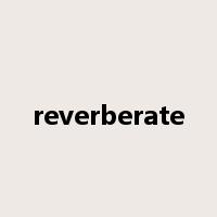 reverberate是什么意思