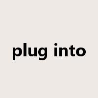 plug into是什么意思