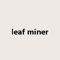 leaf miner是什么意思