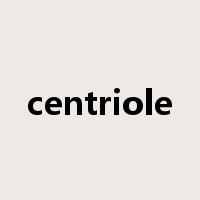 centriole是什么意思
