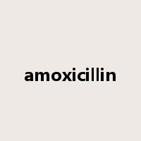 amoxicillin是什么意思