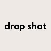 drop shot是什么意思