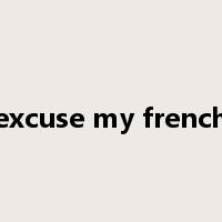 excuse my french是什么意思
