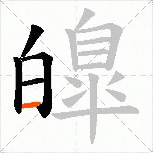 皥