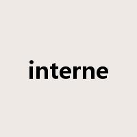 interne是什么意思