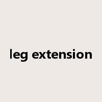 leg extension是什么意思