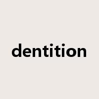 dentition是什么意思
