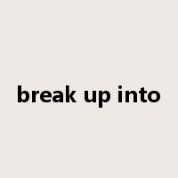 break up into是什么意思
