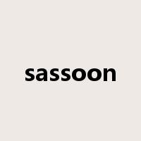 sassoon是什么意思
