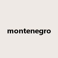 montenegro是什么意思