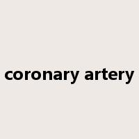 coronary artery是什么意思