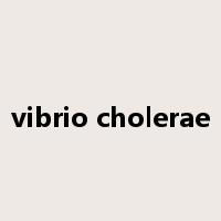 vibrio cholerae是什么意思