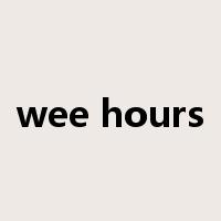 wee hours是什么意思